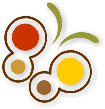 Download File Type - Circle (389x346)