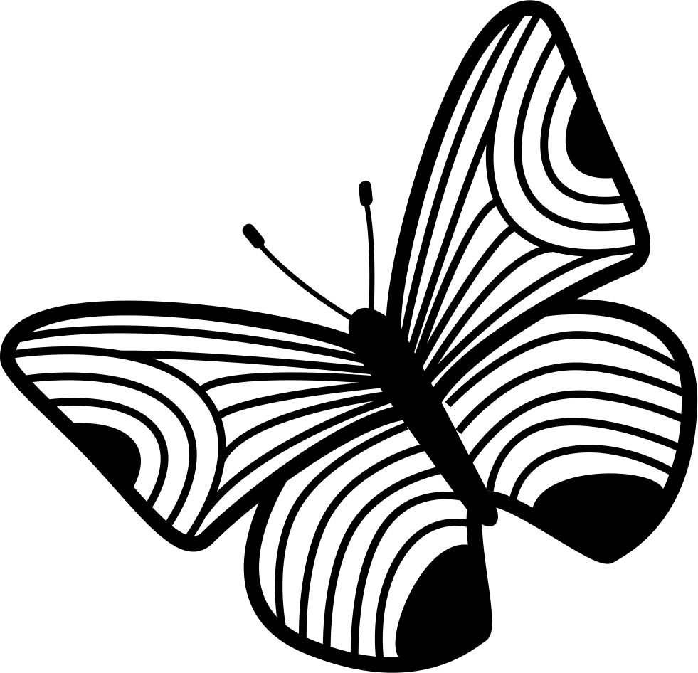 Butterfly Design Of Thin Stripes Wings Comments - Design (981x946)