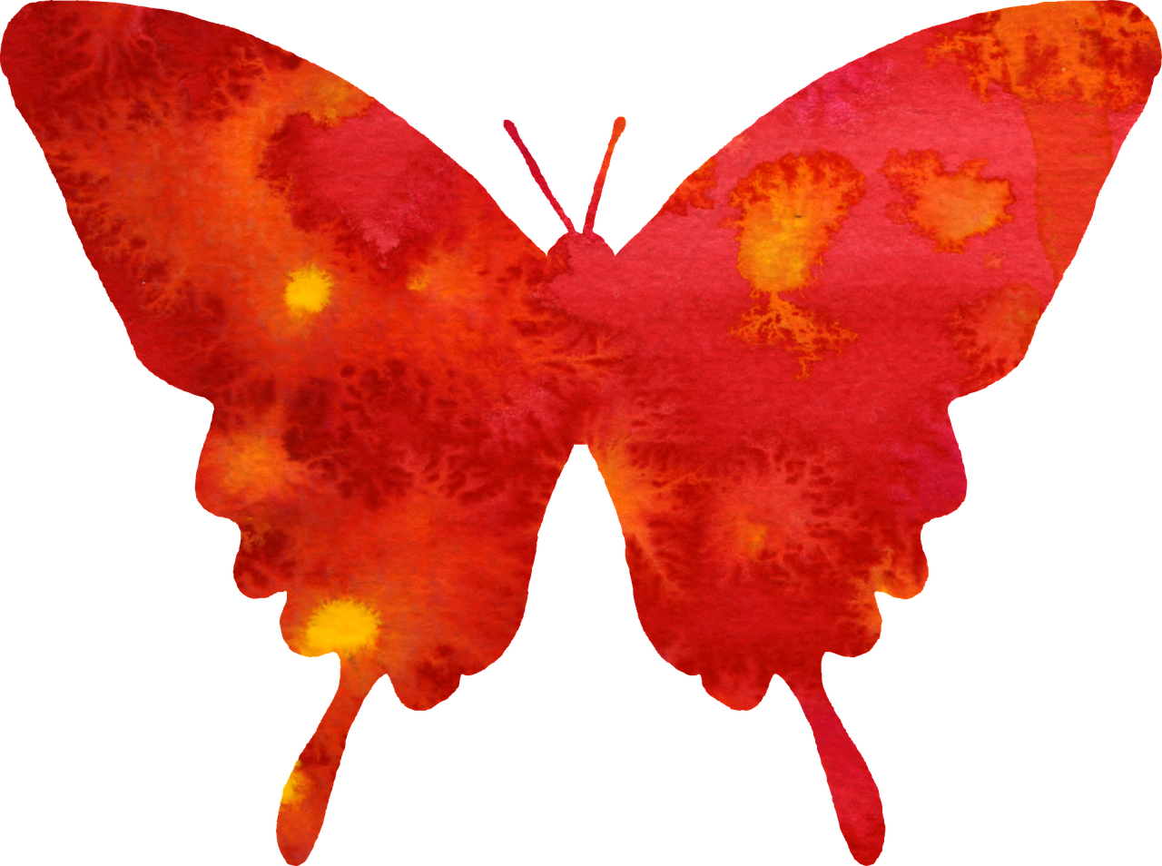 Real Butterfly Cliparts - Watercolor Butterfly Vector Png (1280x954)