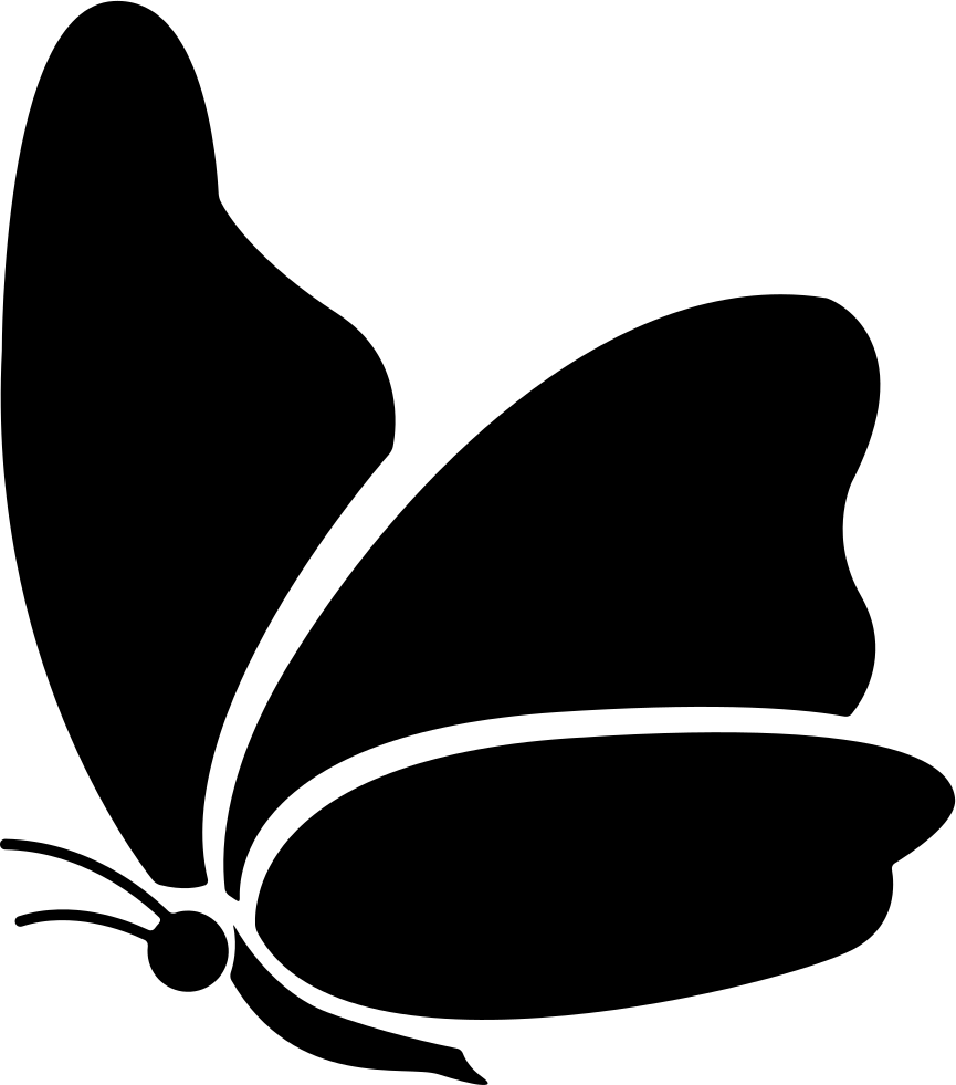 Big Wing Butterfly Comments - Butterfly Icon (865x981)