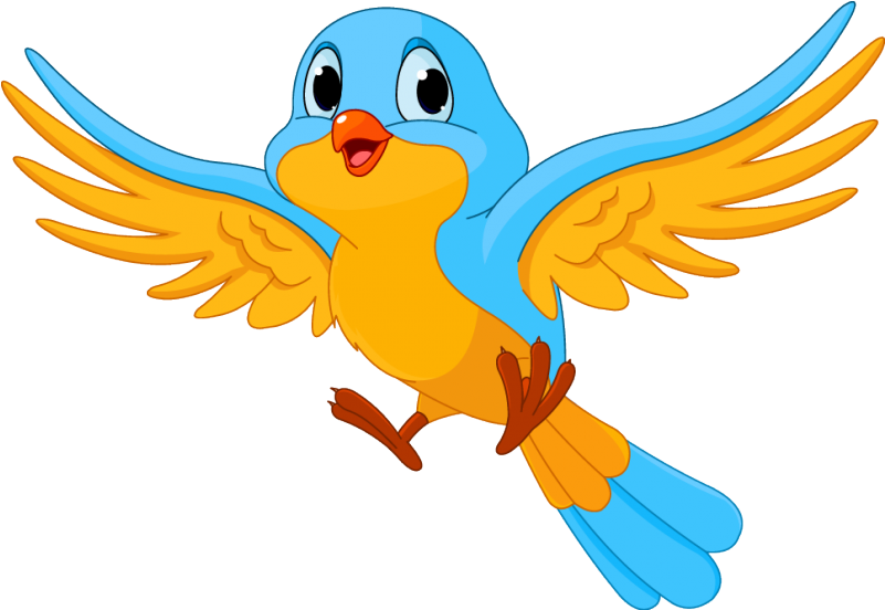 Baby Animals Quotes - Bird Cartoon (800x800)