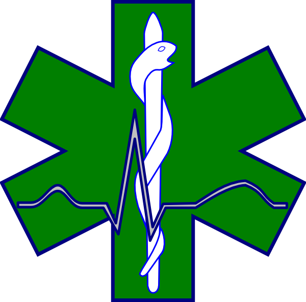 Emt Badge Clipart - Star Of Life Colorado Flag (600x592)