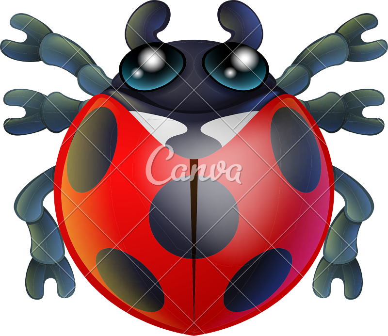 Cartoon Lady Bird Or Bug - Illustration (800x693)