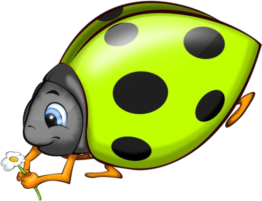 Beetle Ladybird Cartoon Illustration - Beetle Ladybird Cartoon Illustration (600x600)