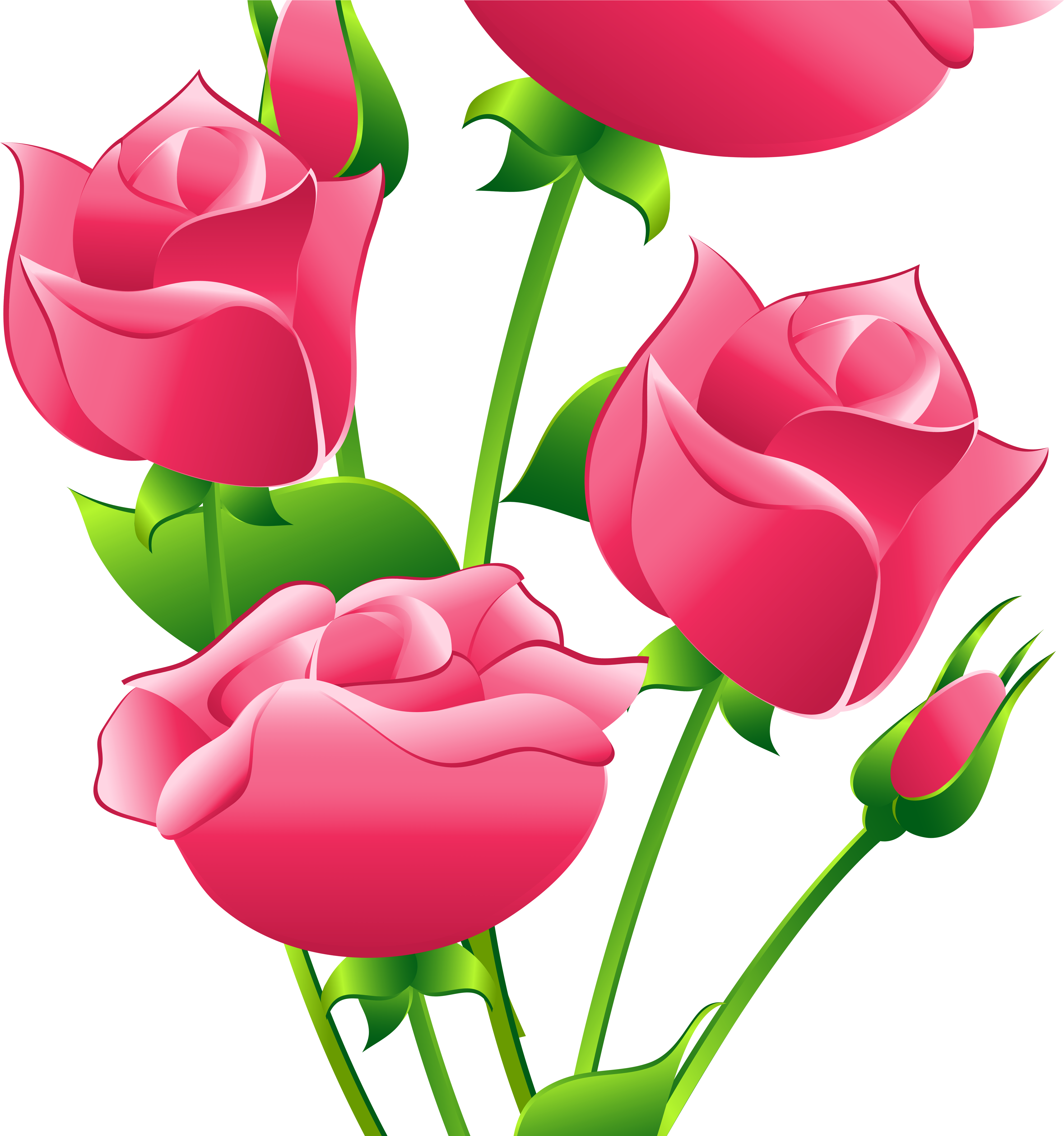 Cynthia Brown - Pink Roses Clipart Transparent (5434x5434)