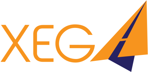 Xegasoft Privacy Policy - Puzzle (512x252)