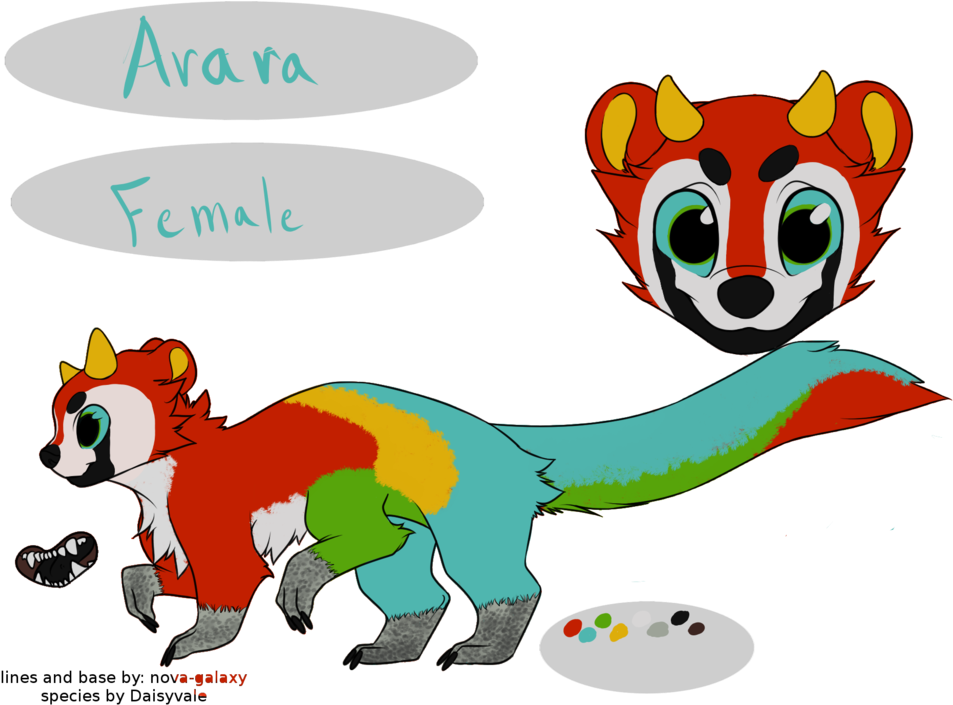 Arara The Impurr By Dreaming Of Wonder - Dream (1024x717)