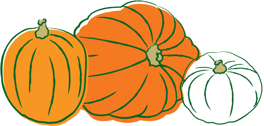 Pumpkin Kit - Pumpkin (1000x500)