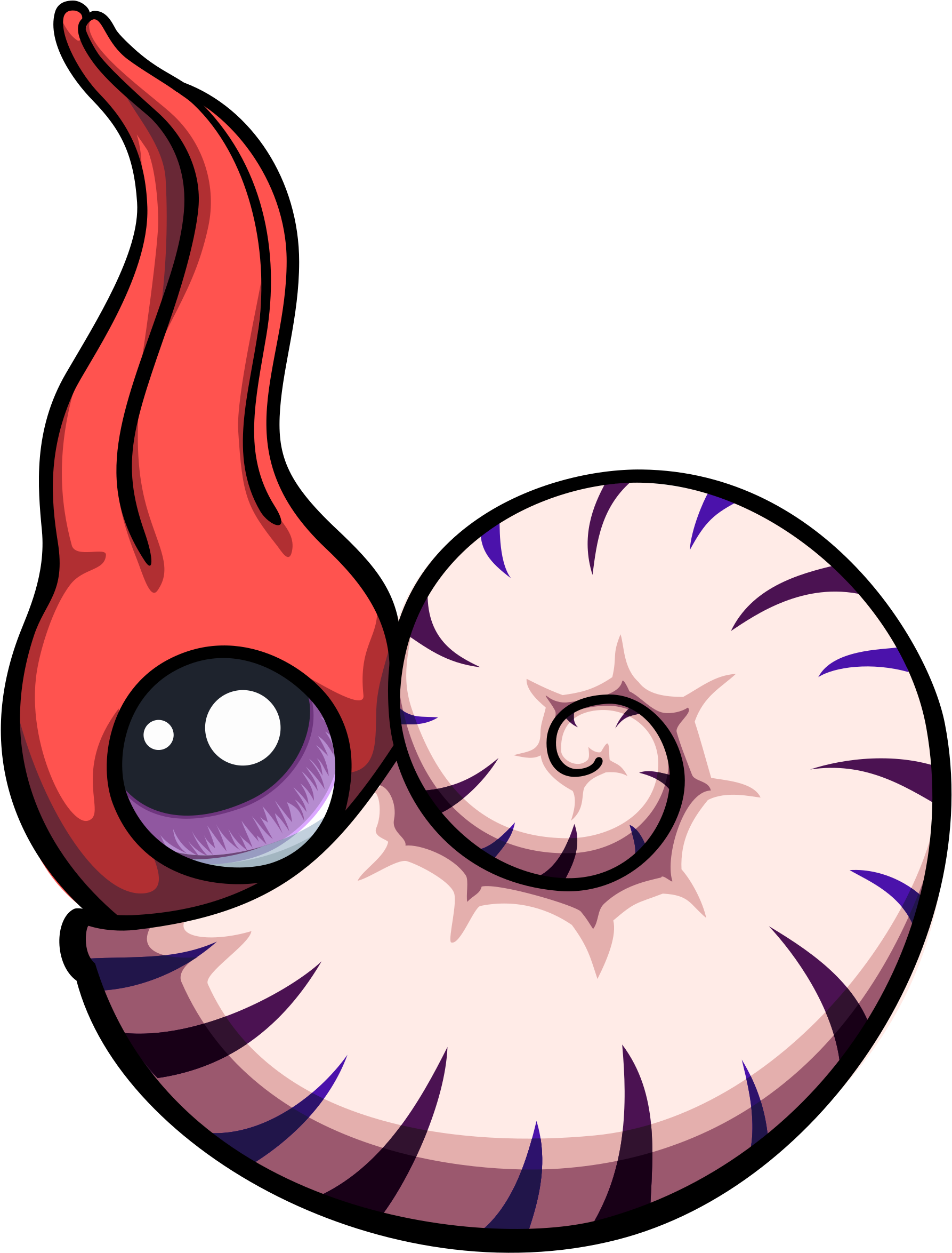 Ammonites Clip Art - Ammonites Clip Art (1860x2400)
