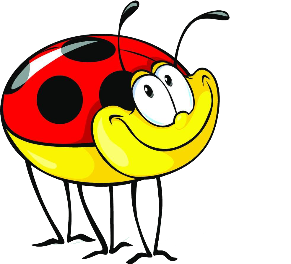 Cartoon Royalty-free Ladybird Clip Art - Cartoon Royalty-free Ladybird Clip Art (1000x893)