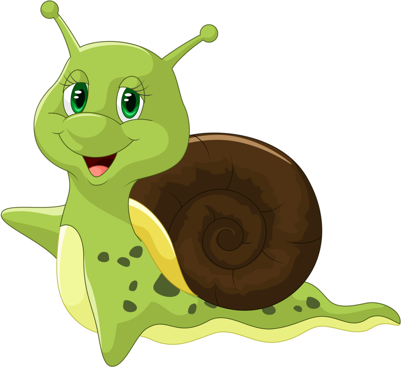 Ϧugs ‿✿⁀ - Cute Snail Cartoon (800x723)