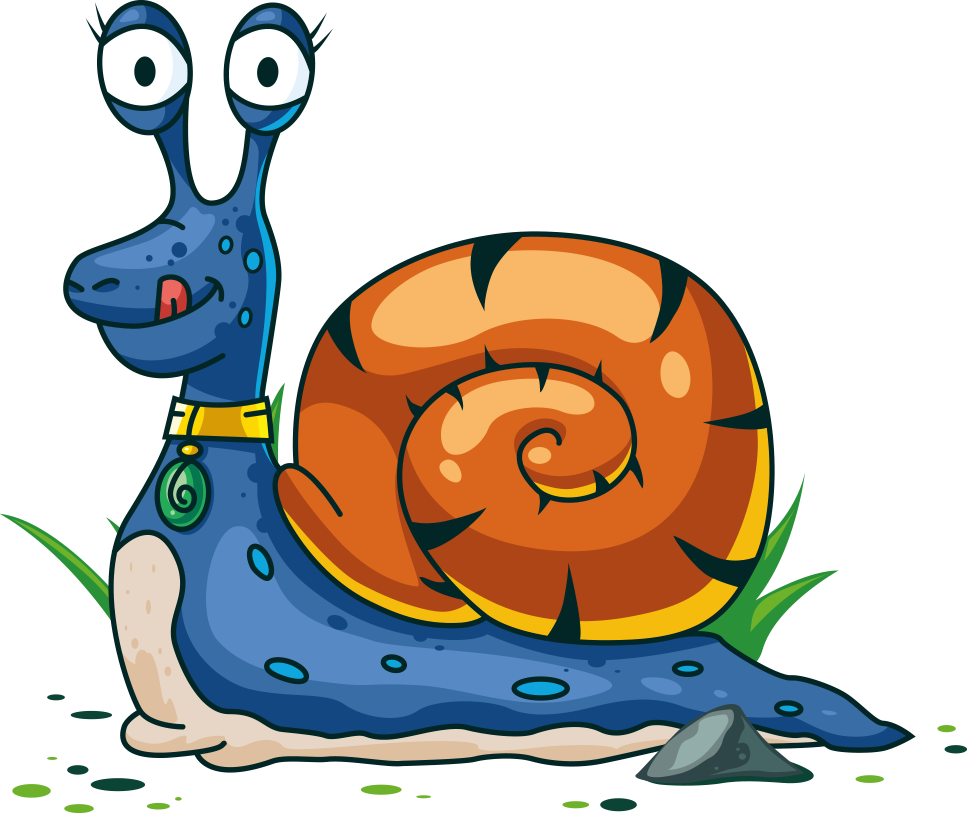 Euclidean Vector Snail Cartoon - Vector Graphics (967x813)