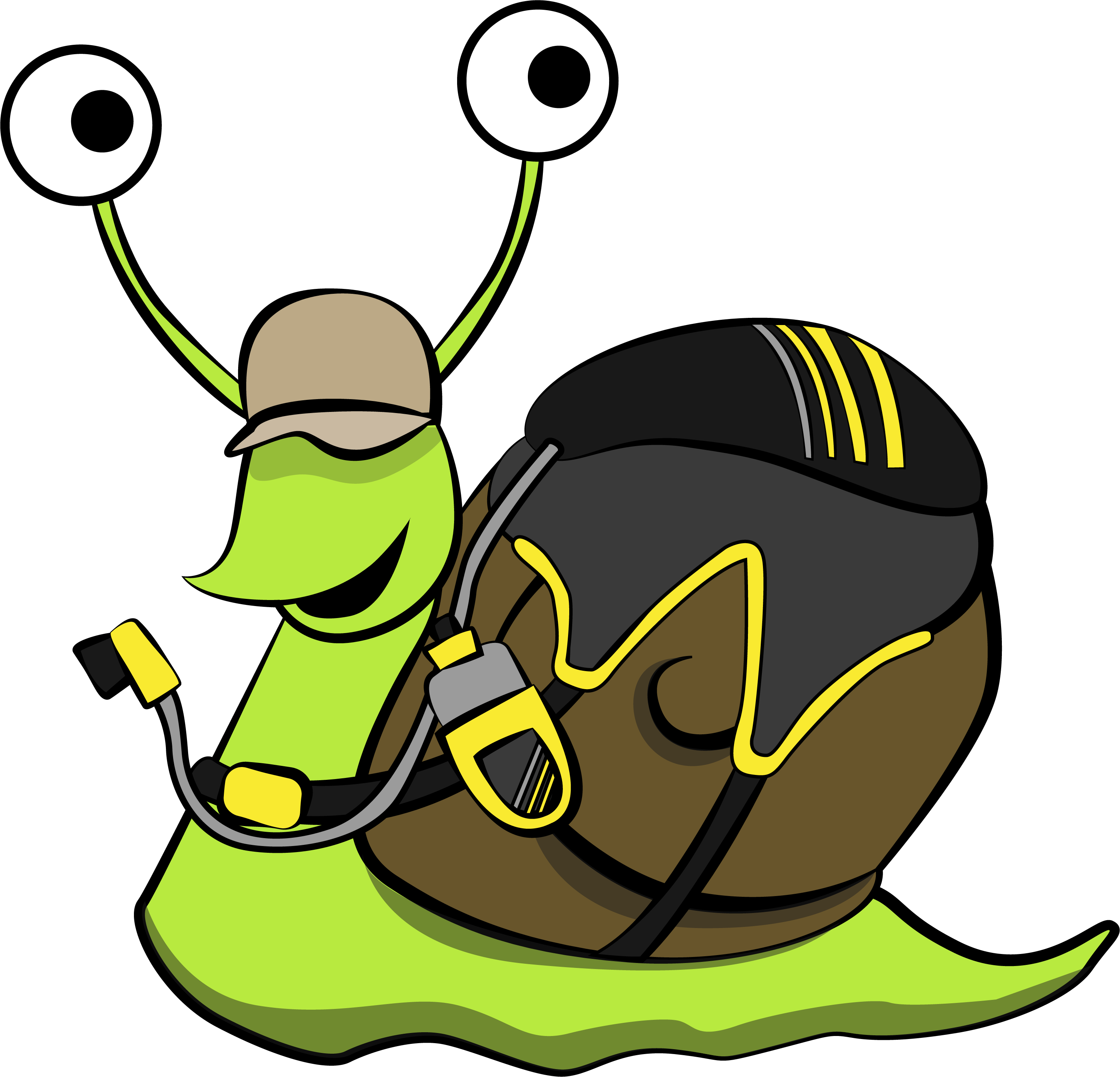 The Rare Kiwi Trail Snail - Snail Running (2977x2863)