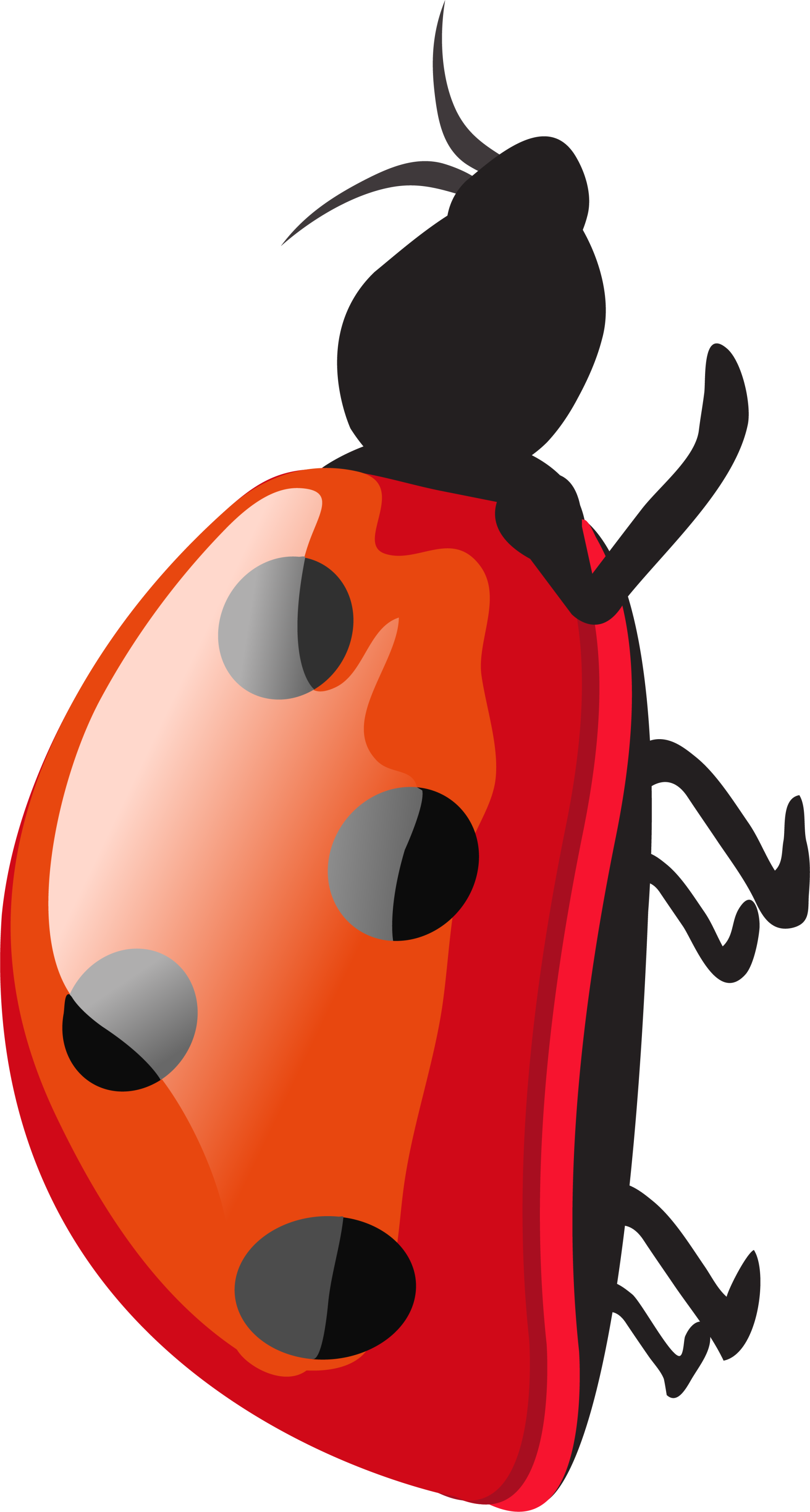 Ladybird Red Cartoon - Ladybird Red Cartoon (2000x3731)