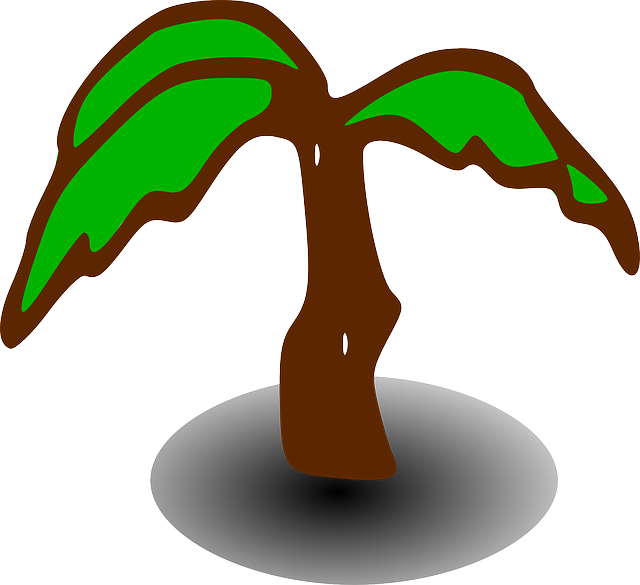 Sign Map, Tree, Signs, Symbols, Elements, Sign - Palm Tree Clip Art (640x585)