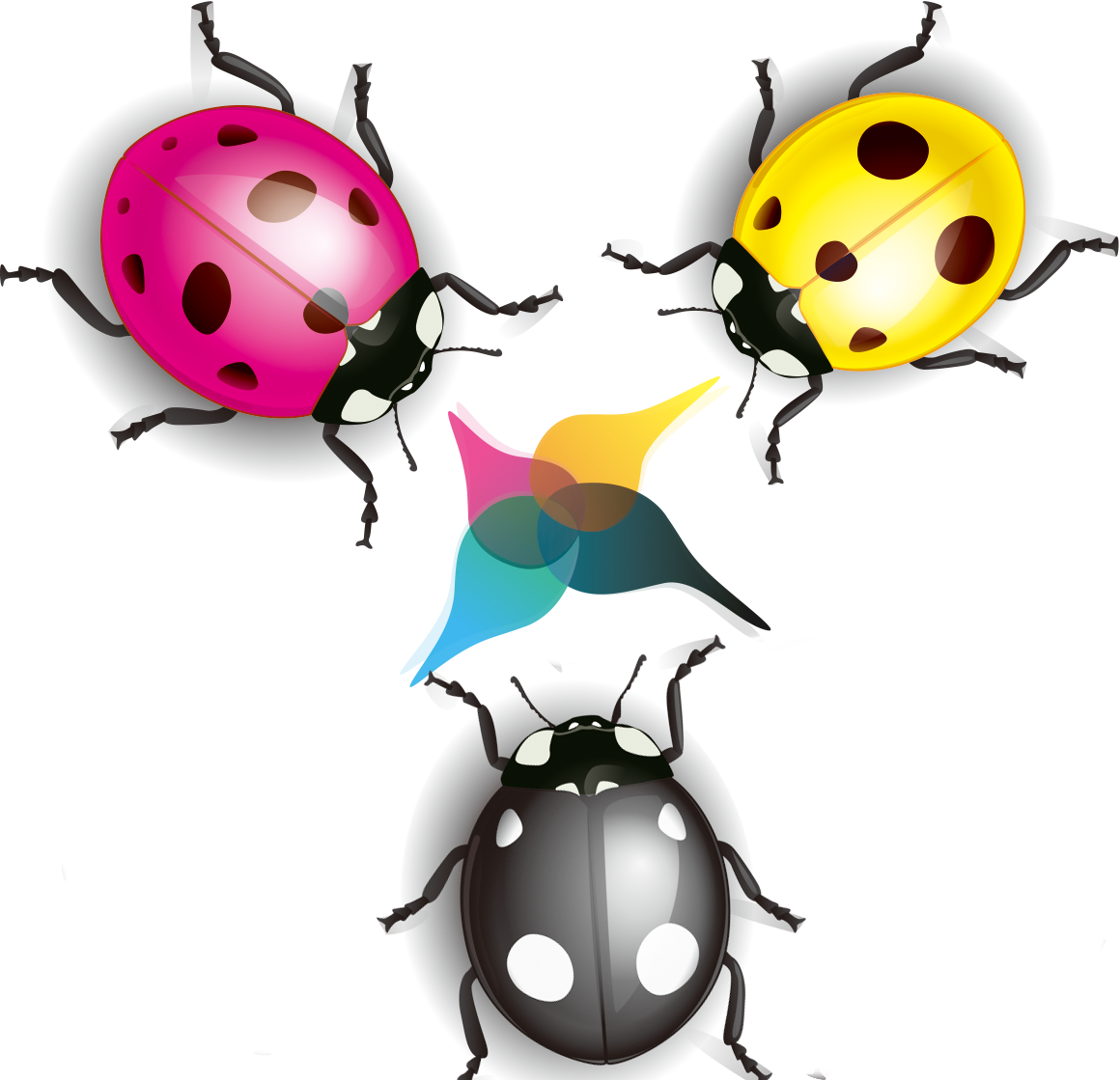 Ladybird Cartoon Coccinella Septempunctata Illustration - Ladybird Cartoon Coccinella Septempunctata Illustration (1160x1119)