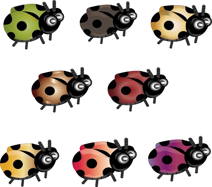 Beetle Ladybird Clip Art - Beetle Ladybird Clip Art (900x793)