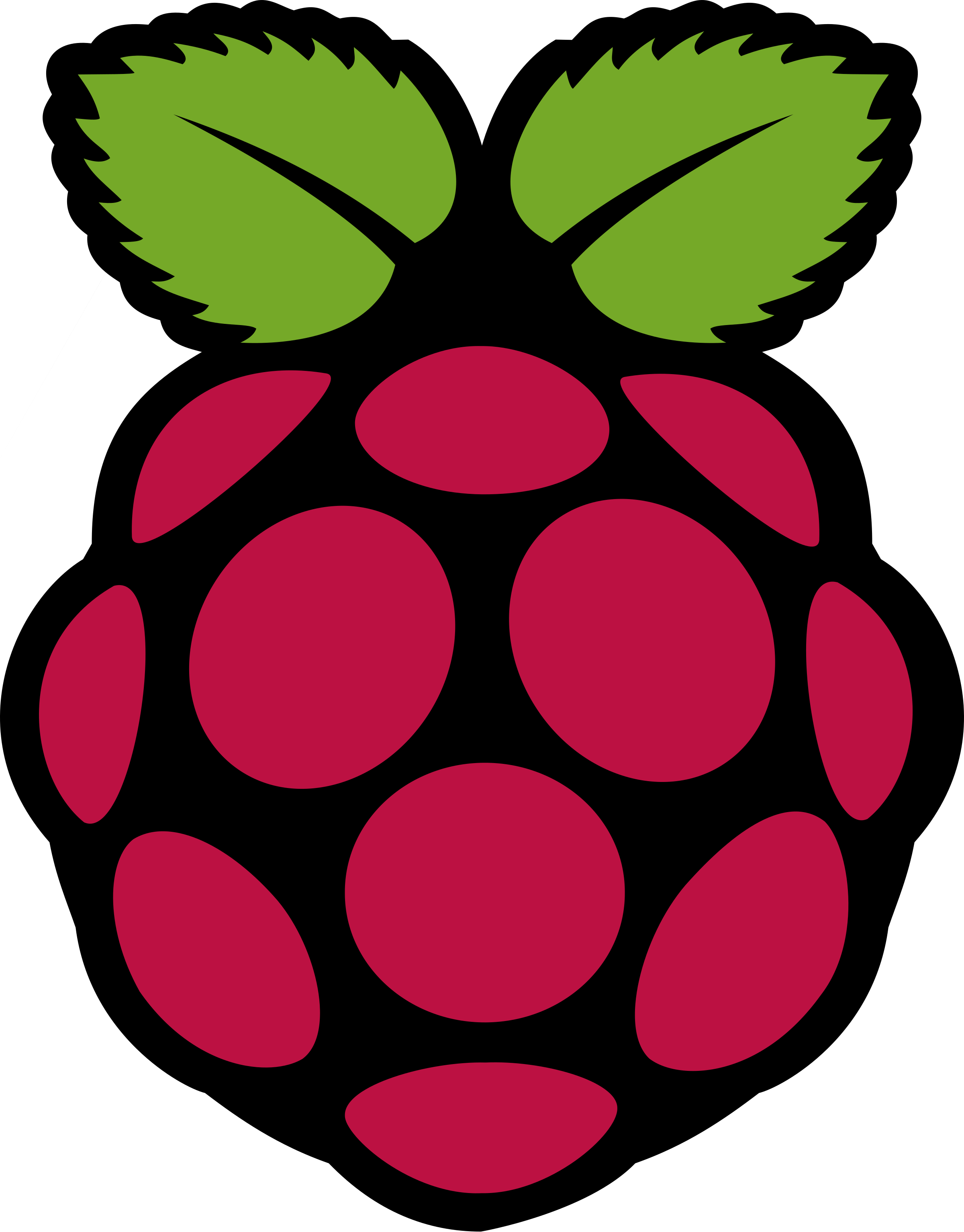 #cgatepro Hashtag On Twitter - Raspberry Pi Logo Png (2400x3066)