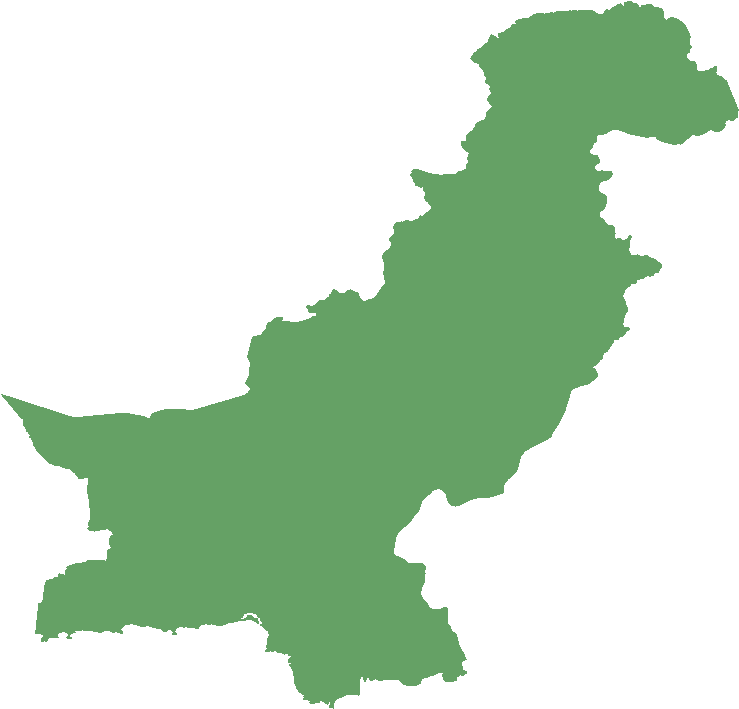Pakistan Flag Icon Png (763x751)