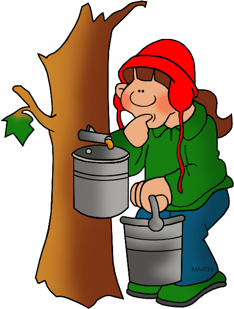 United States Clip Art By Phillip Martin, West Virginia - West Virginia State Tree (531x648)