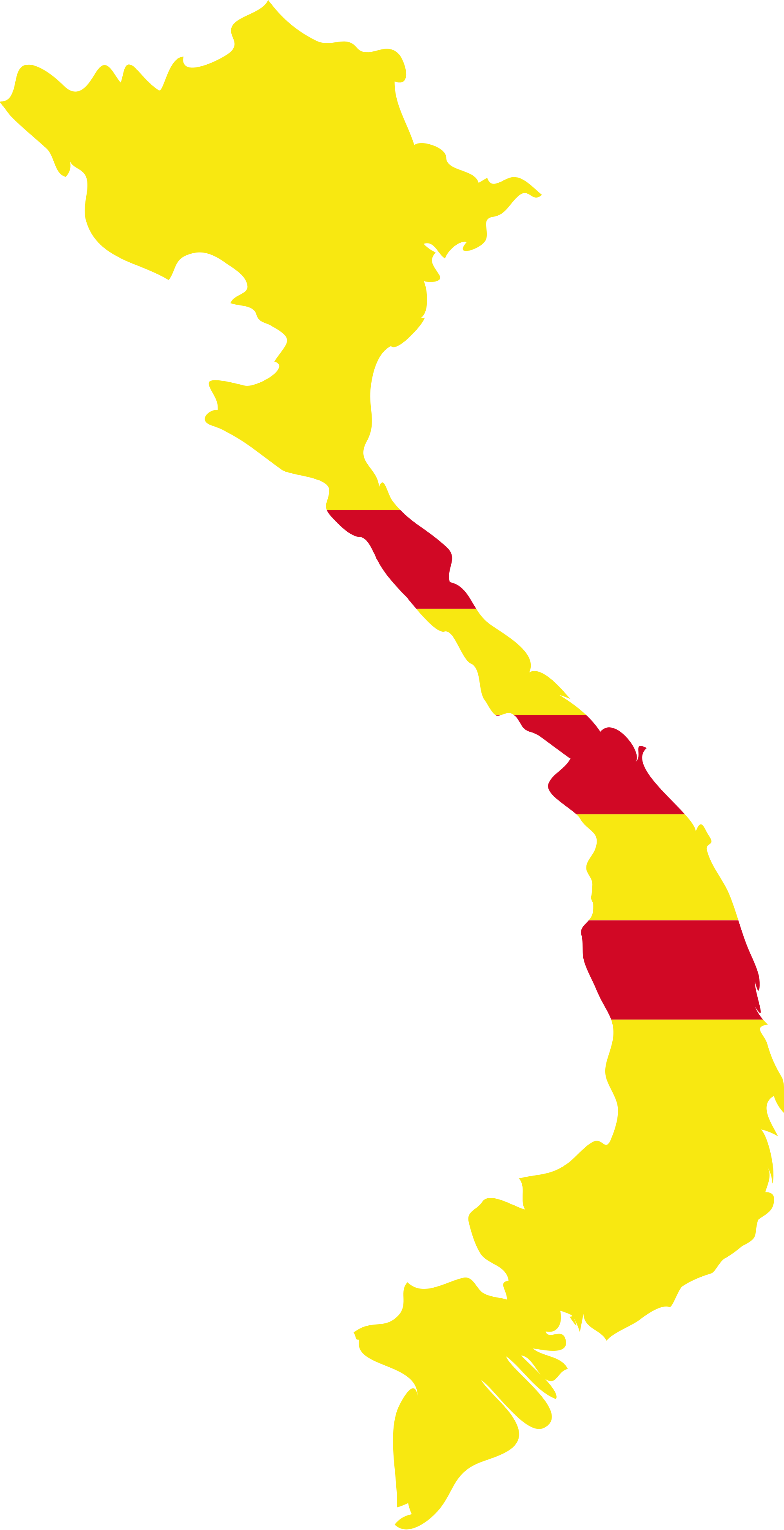 Flag Map Of The State Of Vietnam - Flag Map Of Vietnam (2000x3902)