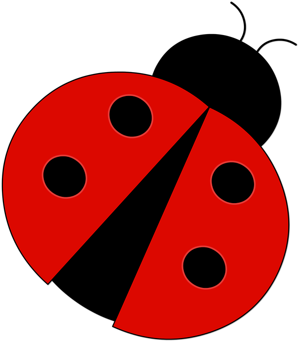 Lady Bug Cliparts 23, Buy Clip Art - Joaninha Png (634x720)