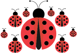 Image - Ladybug (400x300)