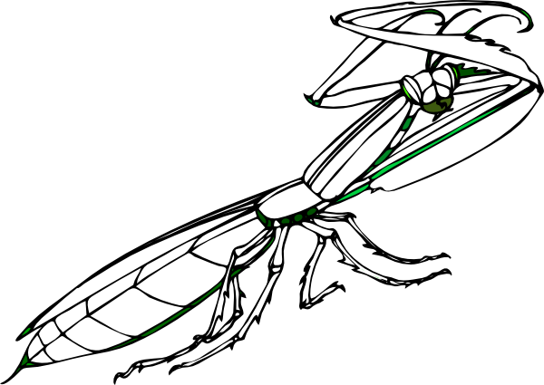 Praying Mantis Clip Art - Mantis Religiosa En Blanco Y Negro (600x425)