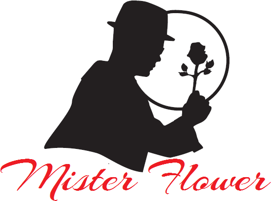 Mister Flower - Corso Italia (604x490)