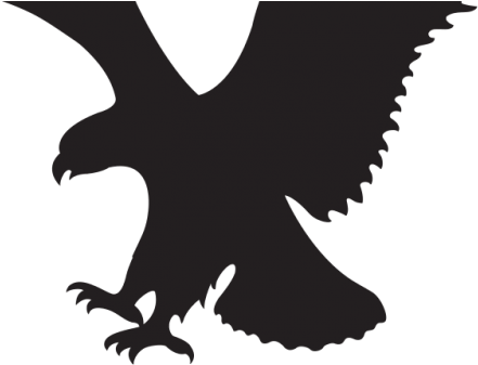 American Eagle Ae - American Eagle Logo Png (940x400)