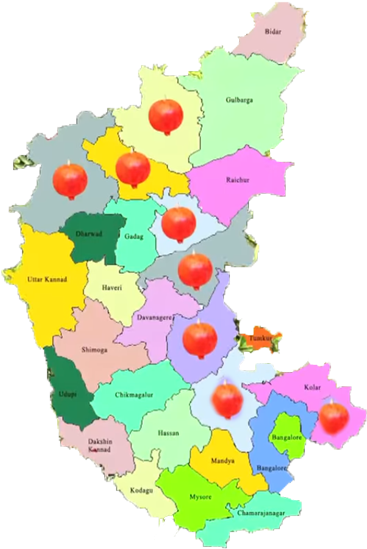 Pomogranate Karnataka - Election (400x562)