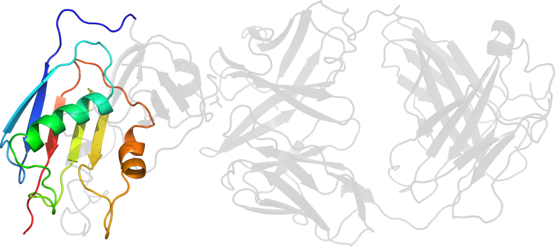 Graphic Design Line Art Clip Art - Illustration (1122x500)