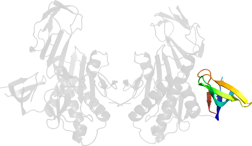 Line Art Graphic Design Ear Sketch - Illustration (862x500)