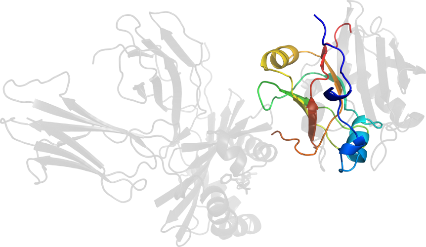 Drawing Graphic Design Line Art Clip Art - Graphic Design (862x500)