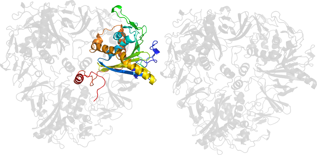 Drawing Line Art Clip Art - Drawing Line Art Clip Art (1021x500)