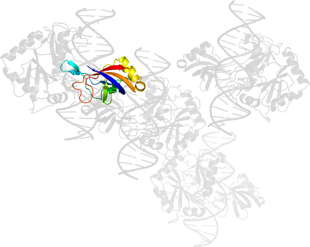 Line Art Graphic Design Cartoon Clip Art - Line Art Graphic Design Cartoon Clip Art (626x500)