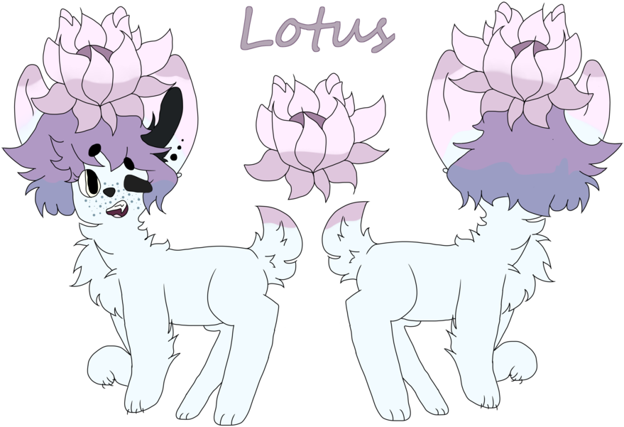 {fd} Lotus Ref Sheet By Starry-rue - Cartoon (1024x768)