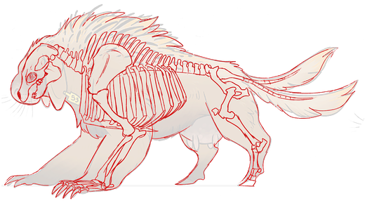 Terminology - - Sketch (559x288)