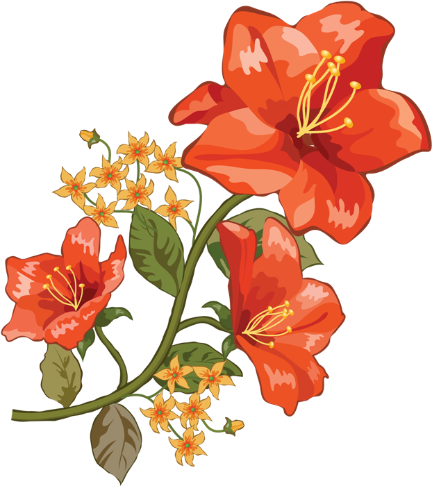 Publicat De Eu Ciresica La - Blumen Fur Dienstag Glif (650x701)