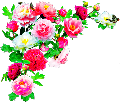 Flower Images Hd Png (500x446)