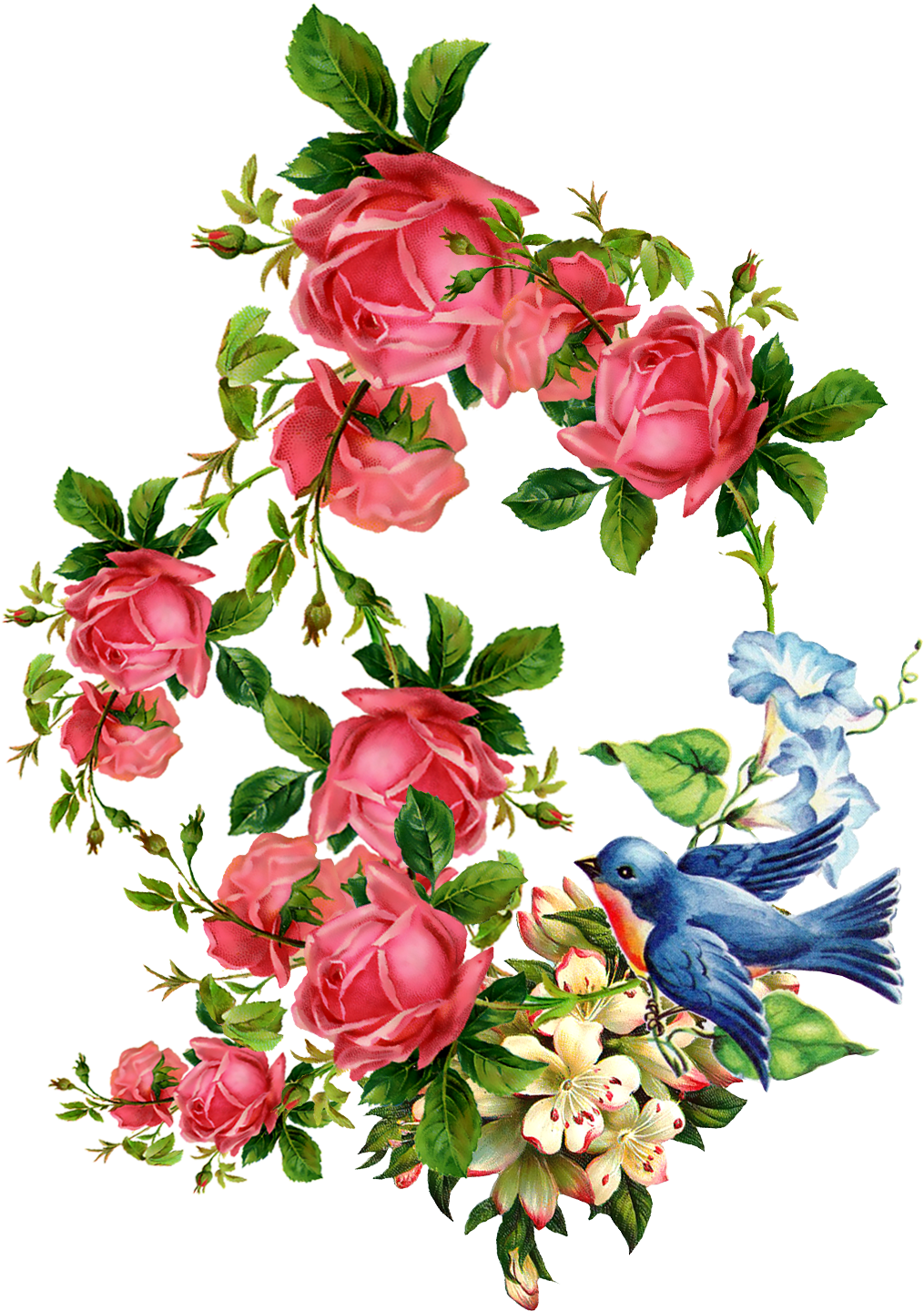 Flower Vintage Clothing Bokmxe4rke Clip Art - Vintager Französischer Rosen-aufkleber Karte (1051x1498)