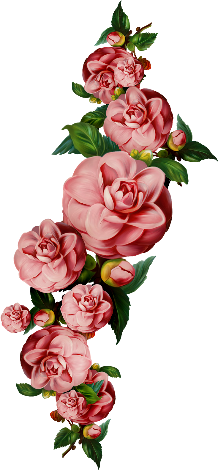 Flower Clip Art - Flower Clip Art (753x1600)
