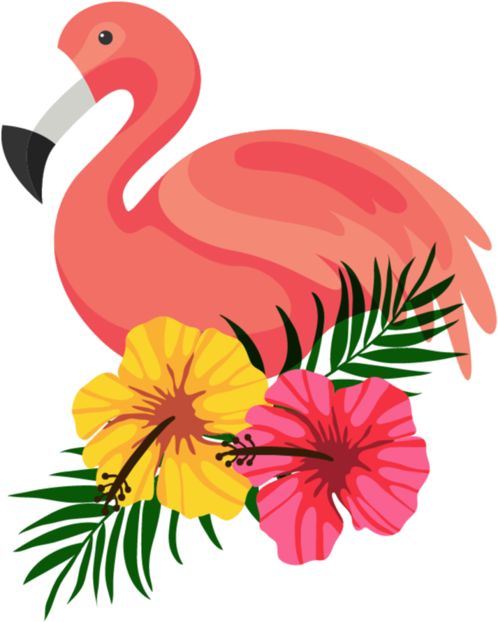 Flamingo By Hanjorafael - Flamingo Png (822x971)