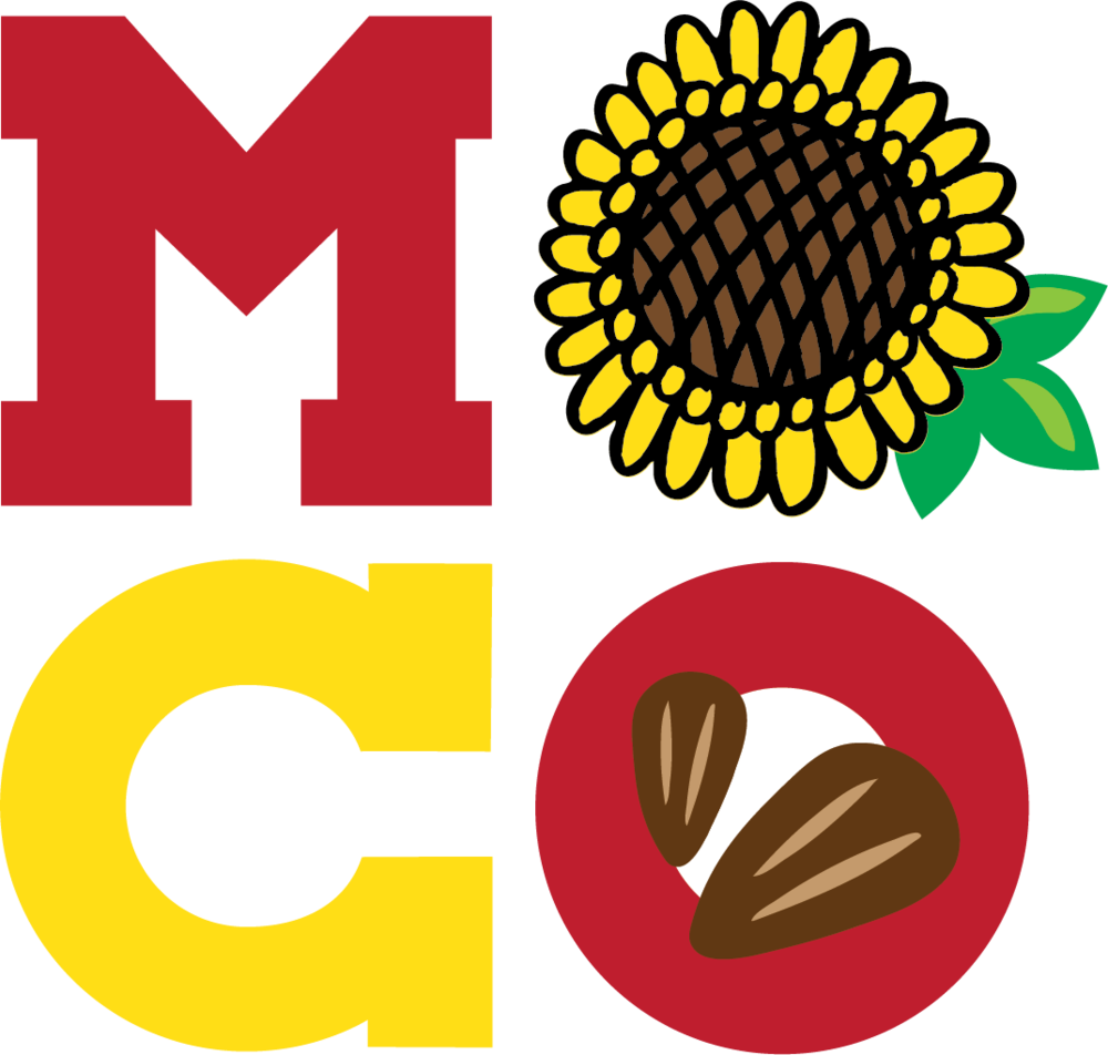 Stage 2 3 Logo Development Branding / Illustration - Asset (1000x952)