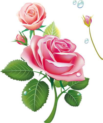0 80d19 A42cc3aa Orig - Painted Rose Buds Png (421x500)