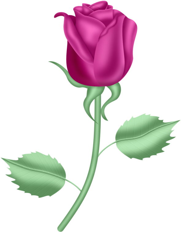 Flower Watercolor Painting Rose Clip Art - Flower Watercolor Painting Rose Clip Art (618x800)