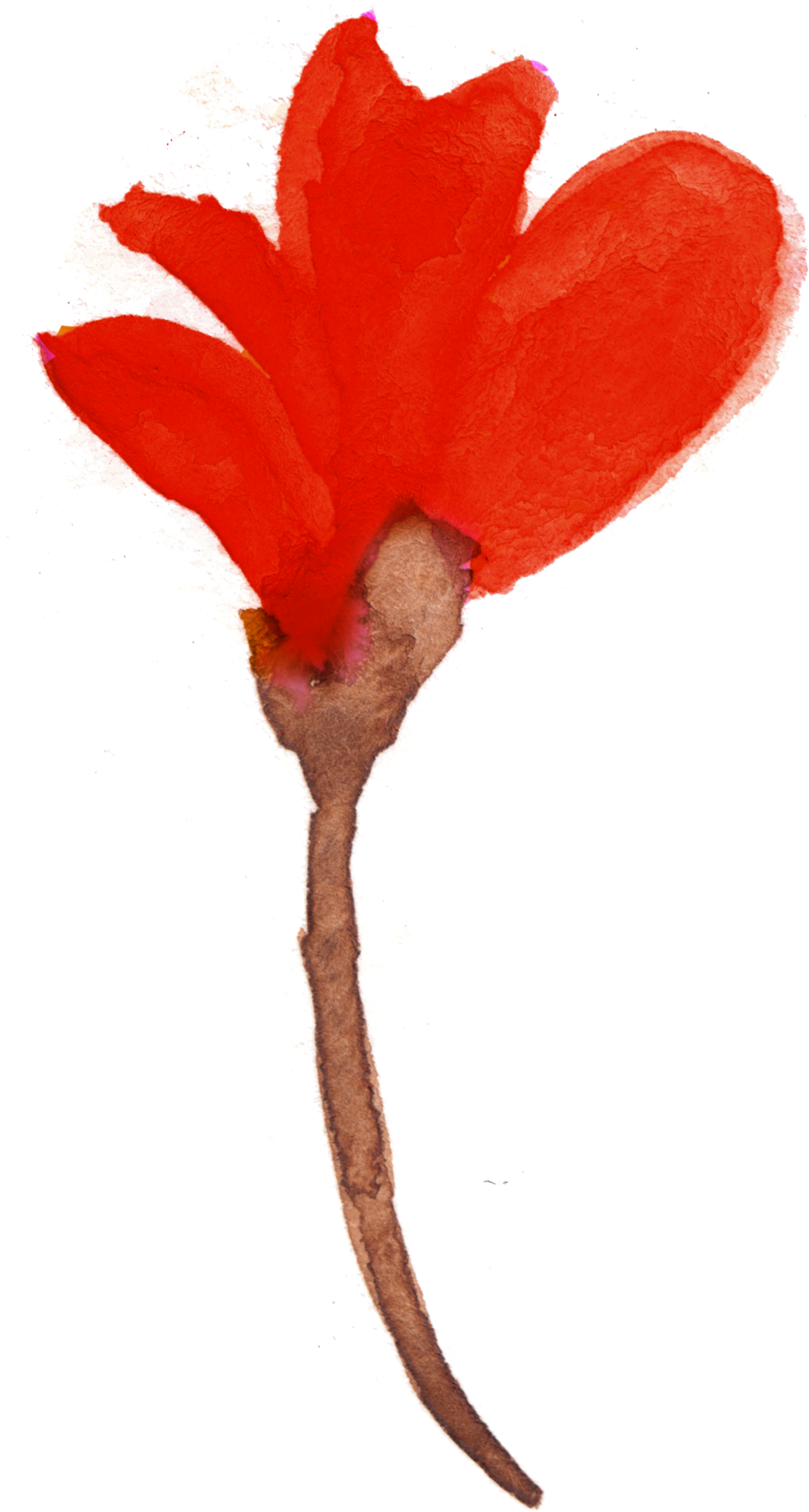Fptfy Free Watercolor Flowers Thj 4 - Watercolor Painting (1046x1854)