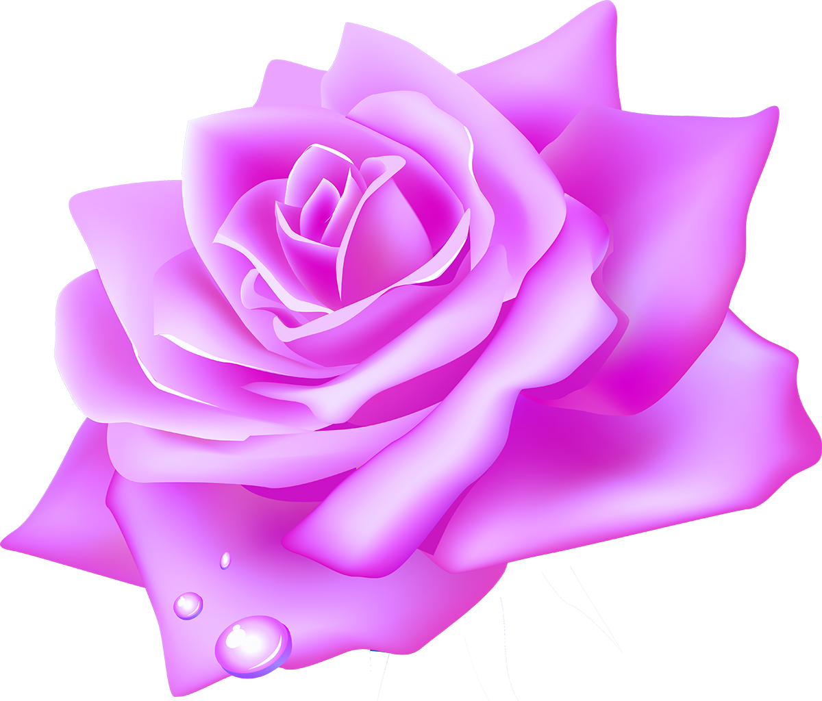 Garden Roses Flower Clip Art - Garden Roses Flower Clip Art (1200x1024)