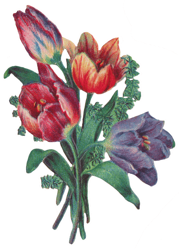 Pin Victorian Flowers Clip Art - Victorian Flowers Clip Art (576x800)