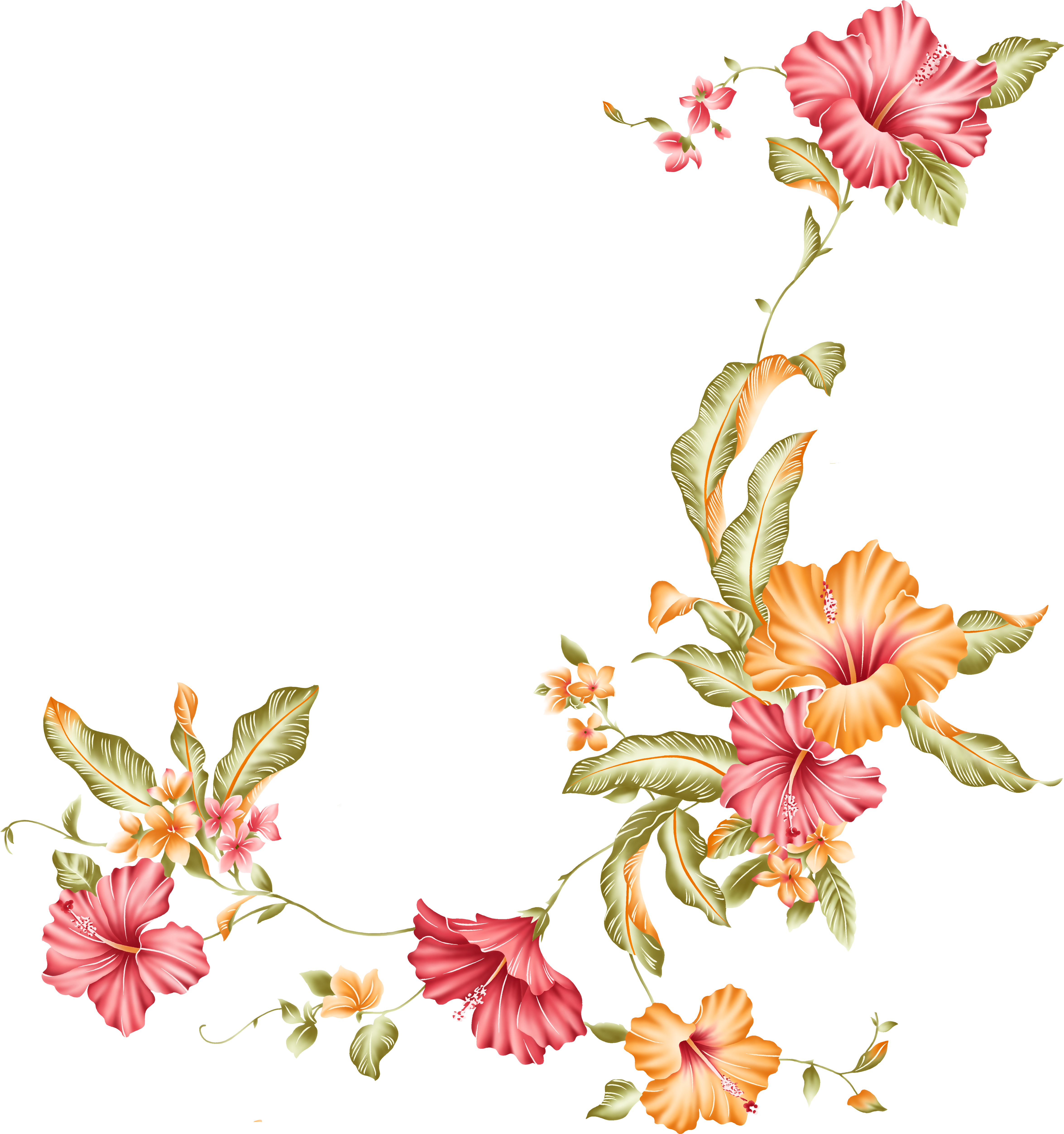Flower Stock Photography Stock Illustration Clip Art - Flower Stock Photography Stock Illustration Clip Art (5000x5126)